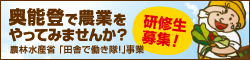 田舎で働き隊！のページへ